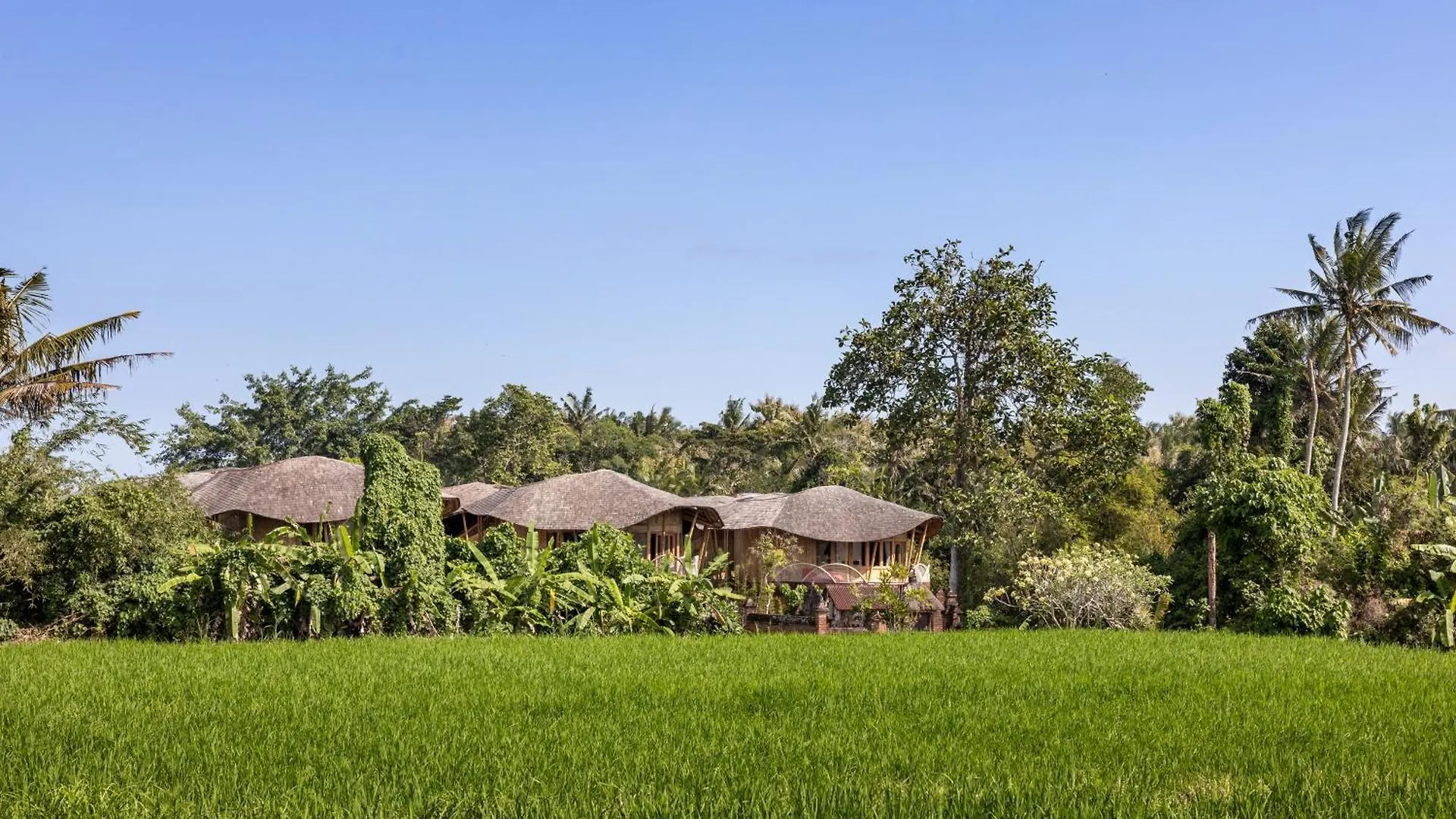 Clan Living - The Lovers Ubud Private Villas Indonesia
